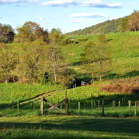 فيلا Walnut Run Farm Woodville المظهر الخارجي الصورة