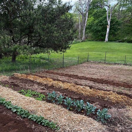 فيلا Walnut Run Farm Woodville المظهر الخارجي الصورة