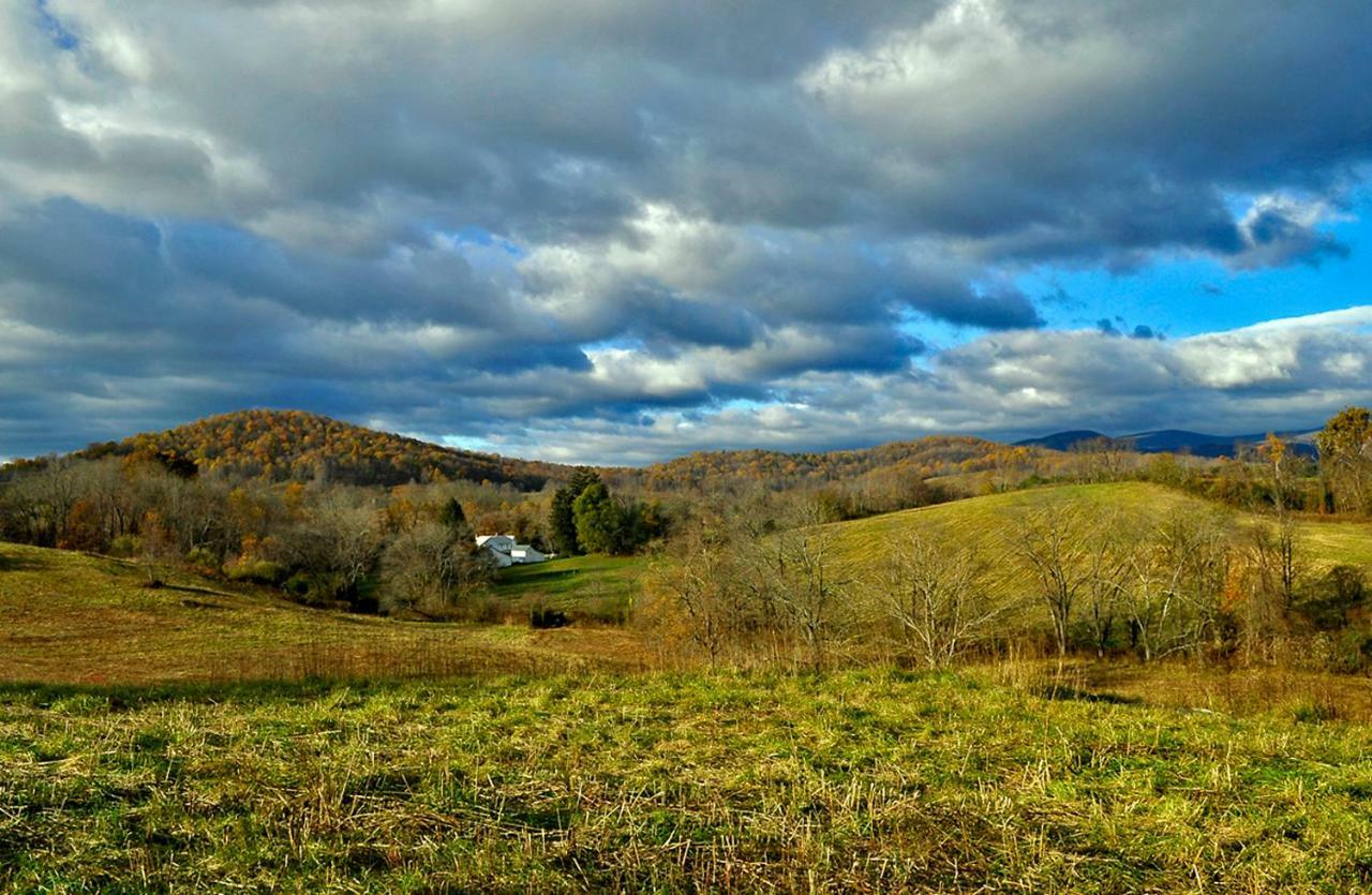 فيلا Walnut Run Farm Woodville المظهر الخارجي الصورة