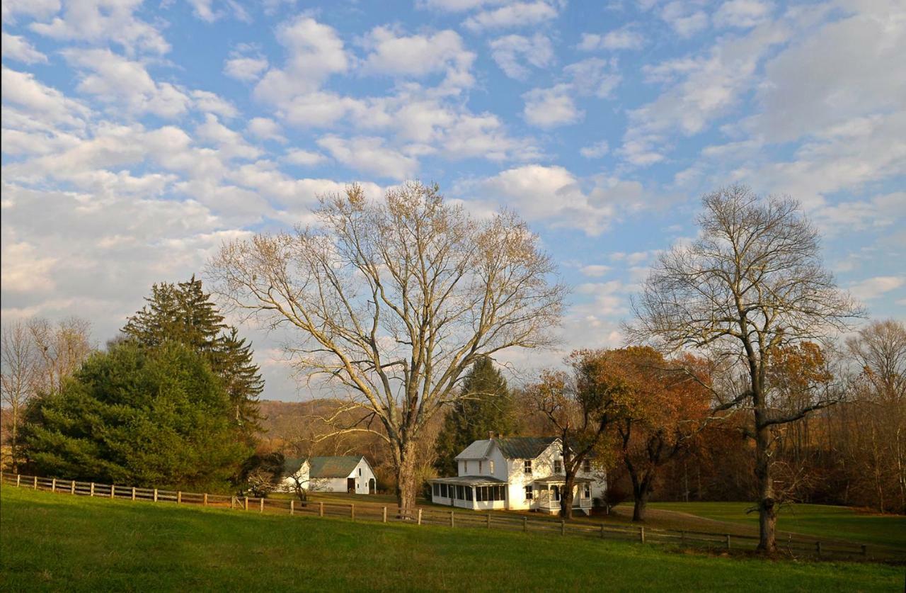 فيلا Walnut Run Farm Woodville المظهر الخارجي الصورة