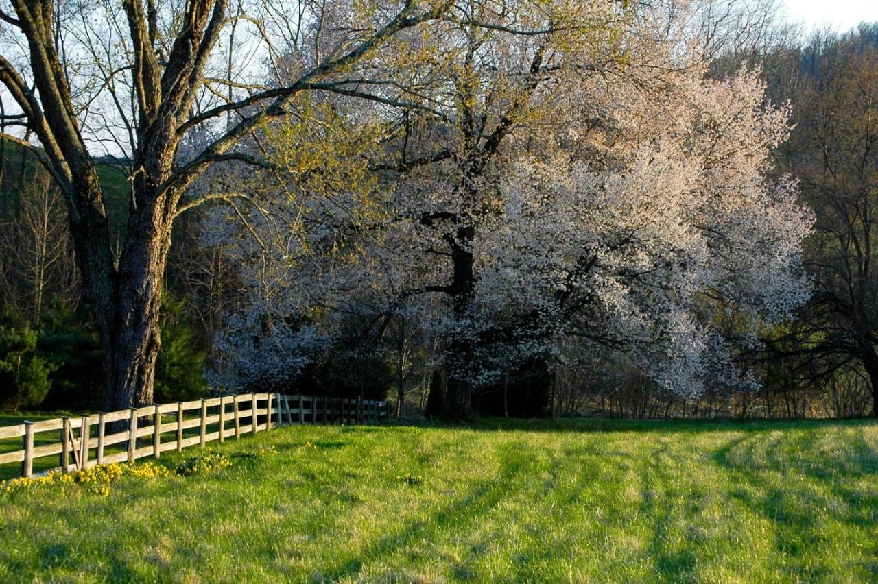 فيلا Walnut Run Farm Woodville المظهر الخارجي الصورة