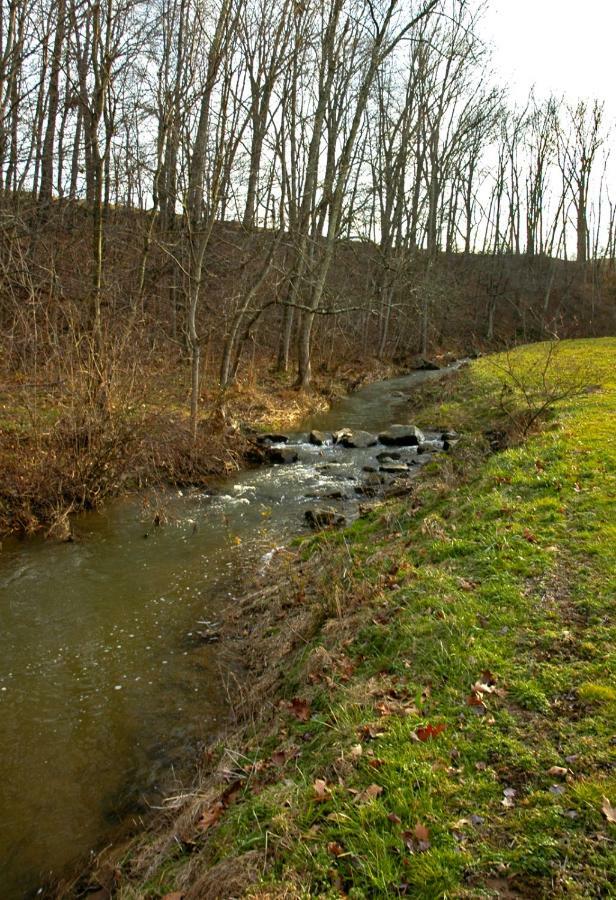 فيلا Walnut Run Farm Woodville المظهر الخارجي الصورة