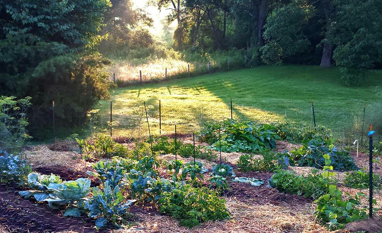 فيلا Walnut Run Farm Woodville المظهر الخارجي الصورة